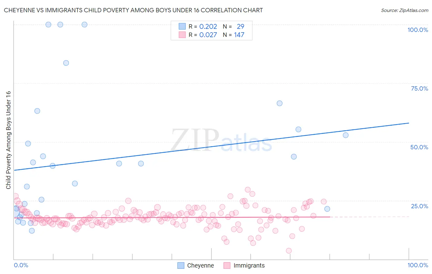 Cheyenne vs Immigrants Child Poverty Among Boys Under 16