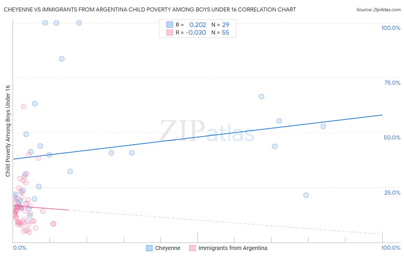 Cheyenne vs Immigrants from Argentina Child Poverty Among Boys Under 16