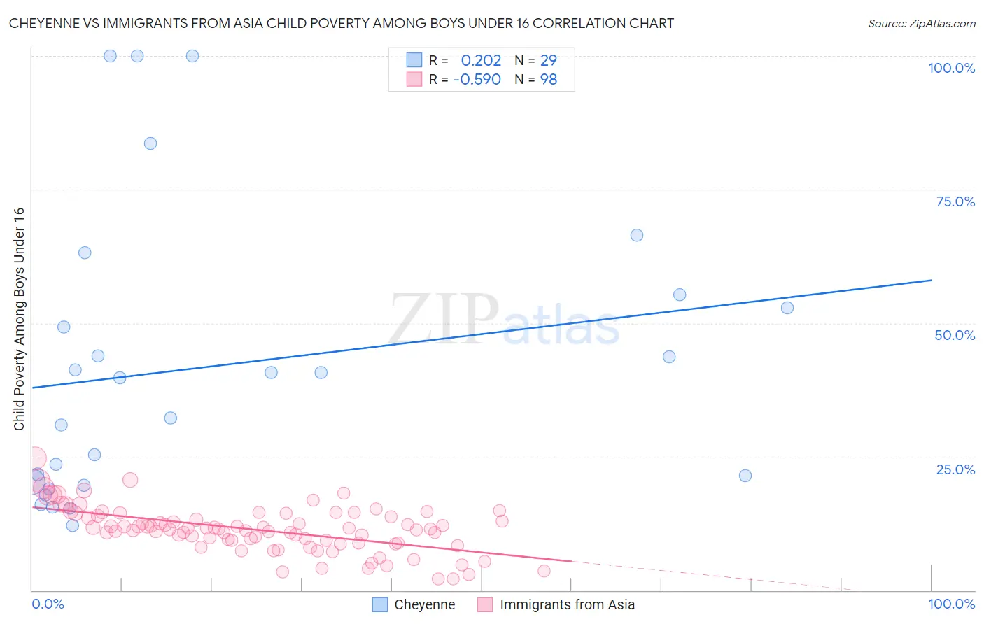 Cheyenne vs Immigrants from Asia Child Poverty Among Boys Under 16