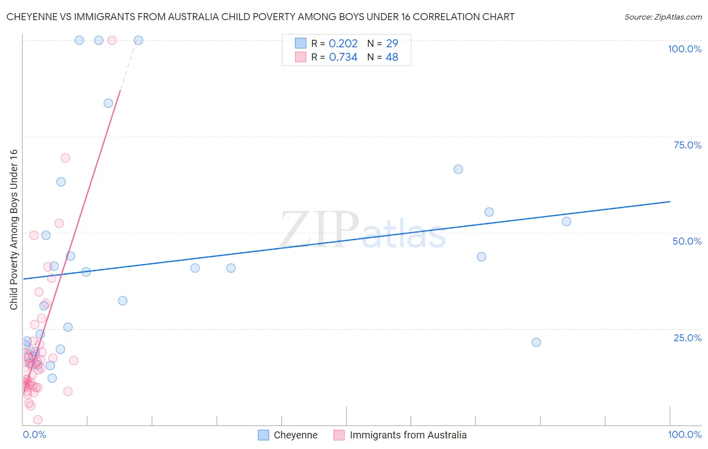 Cheyenne vs Immigrants from Australia Child Poverty Among Boys Under 16