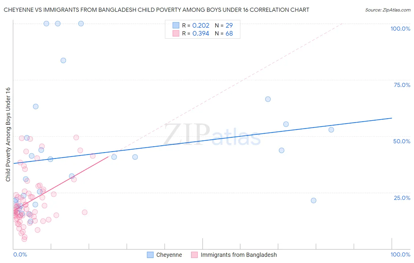 Cheyenne vs Immigrants from Bangladesh Child Poverty Among Boys Under 16