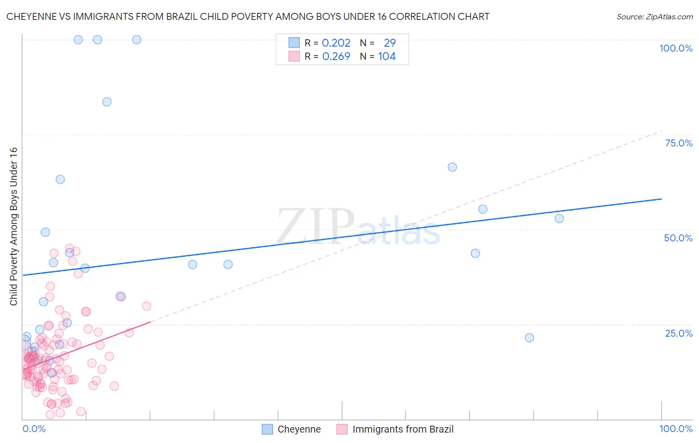 Cheyenne vs Immigrants from Brazil Child Poverty Among Boys Under 16