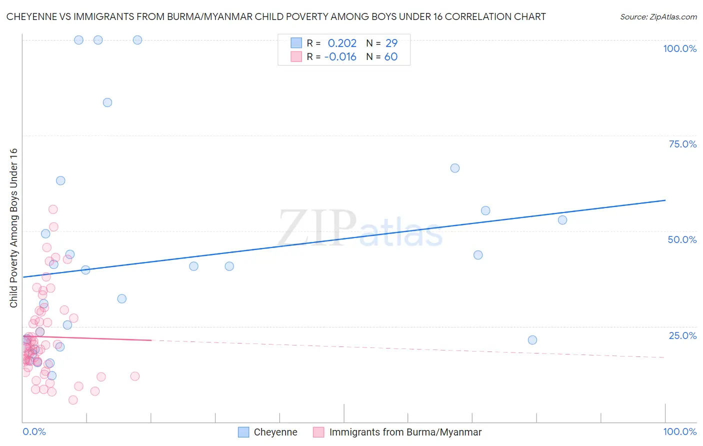 Cheyenne vs Immigrants from Burma/Myanmar Child Poverty Among Boys Under 16