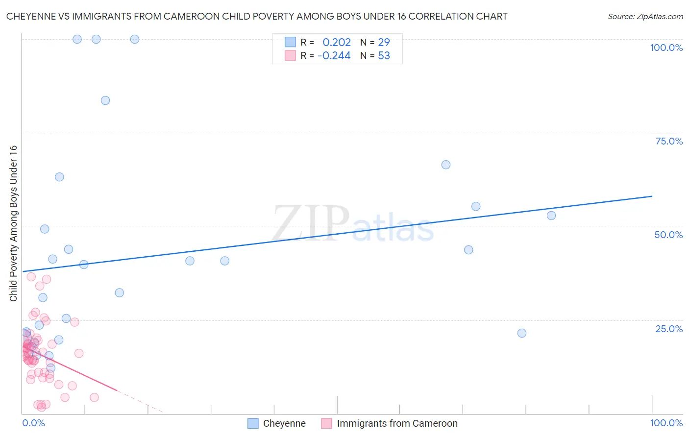 Cheyenne vs Immigrants from Cameroon Child Poverty Among Boys Under 16