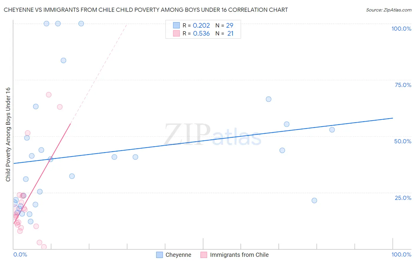 Cheyenne vs Immigrants from Chile Child Poverty Among Boys Under 16