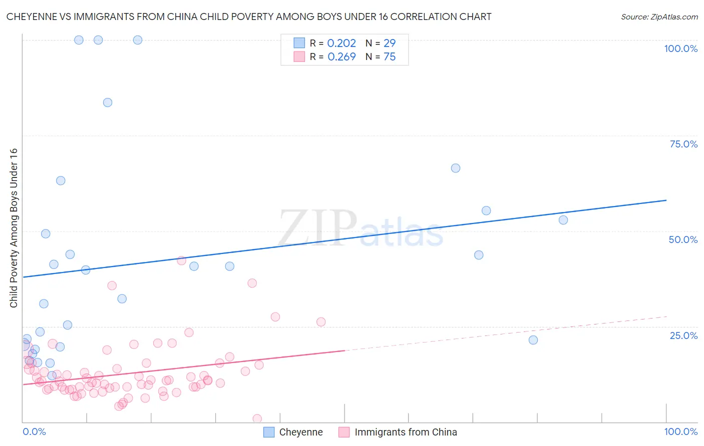 Cheyenne vs Immigrants from China Child Poverty Among Boys Under 16