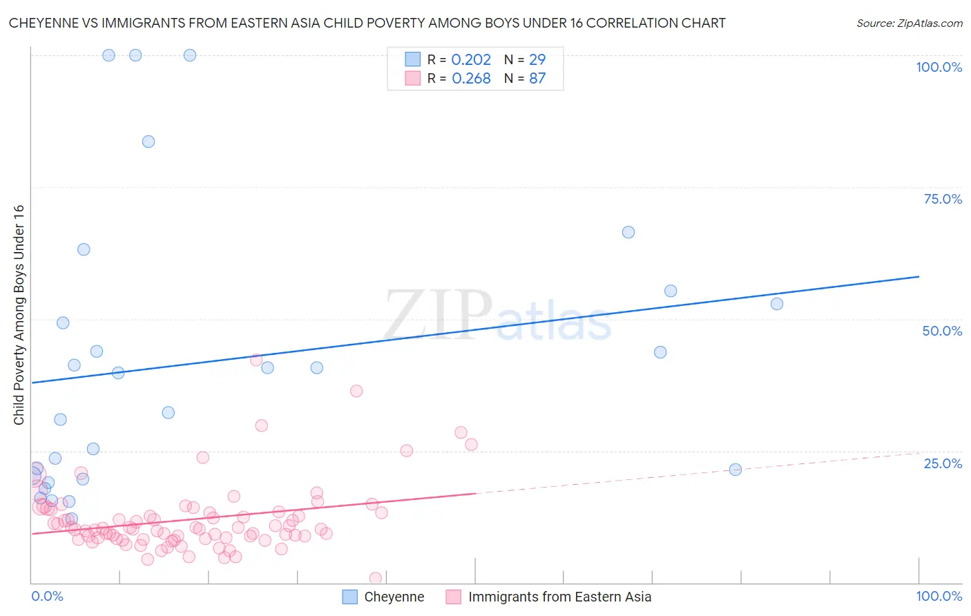 Cheyenne vs Immigrants from Eastern Asia Child Poverty Among Boys Under 16