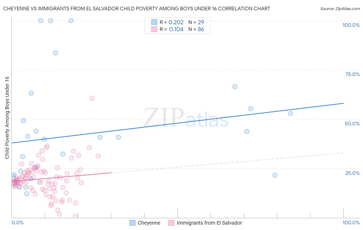 Cheyenne vs Immigrants from El Salvador Child Poverty Among Boys Under 16