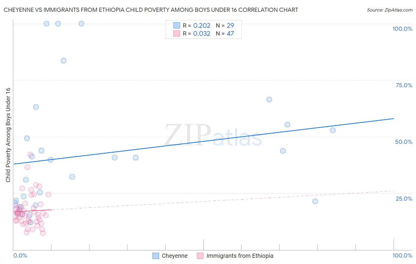 Cheyenne vs Immigrants from Ethiopia Child Poverty Among Boys Under 16