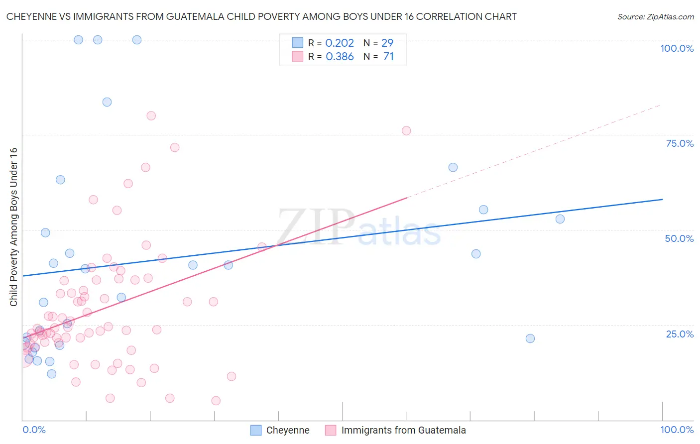 Cheyenne vs Immigrants from Guatemala Child Poverty Among Boys Under 16