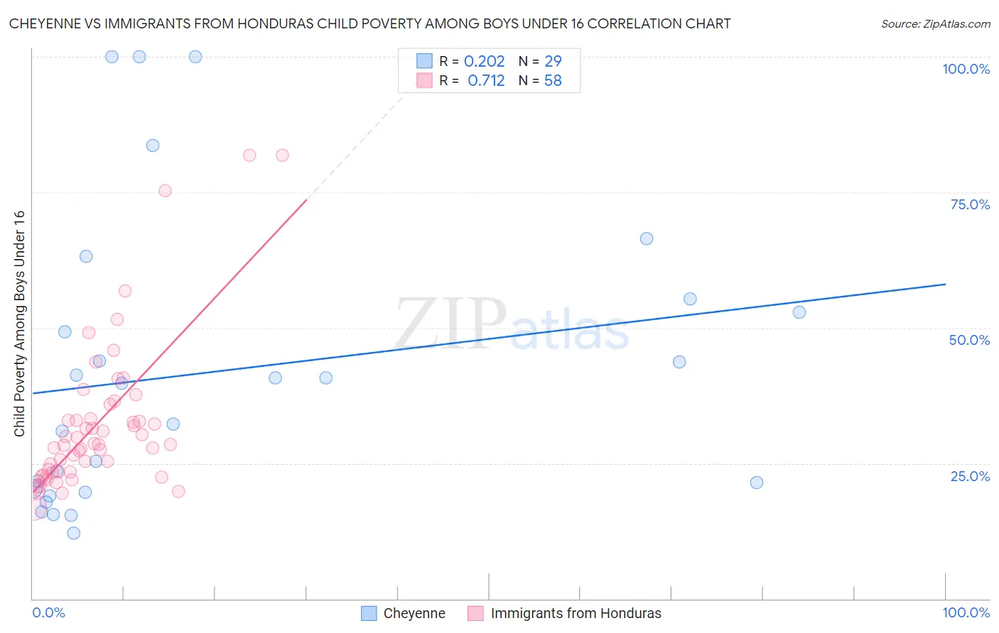 Cheyenne vs Immigrants from Honduras Child Poverty Among Boys Under 16