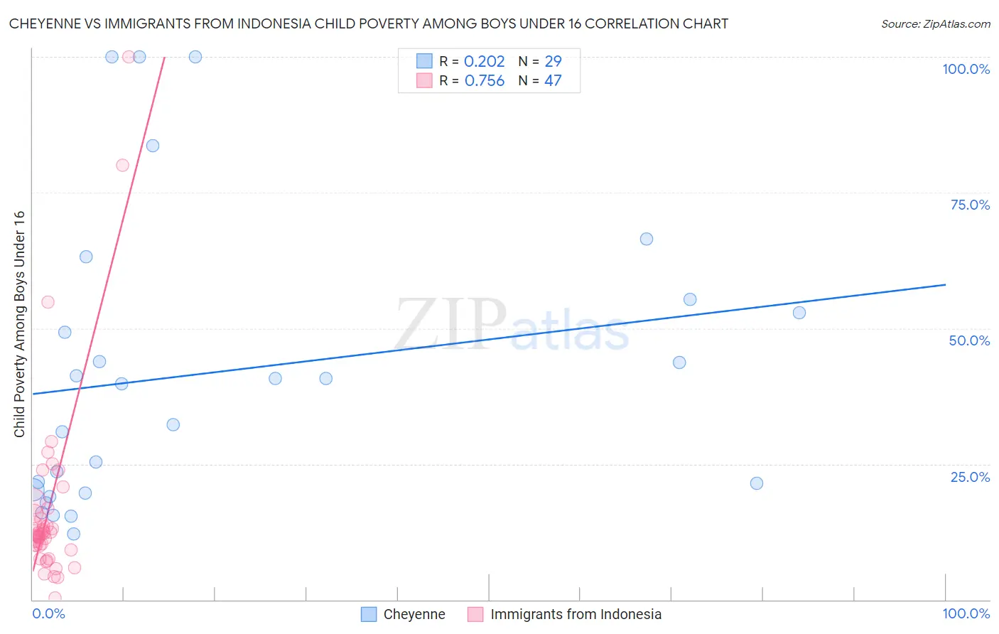 Cheyenne vs Immigrants from Indonesia Child Poverty Among Boys Under 16