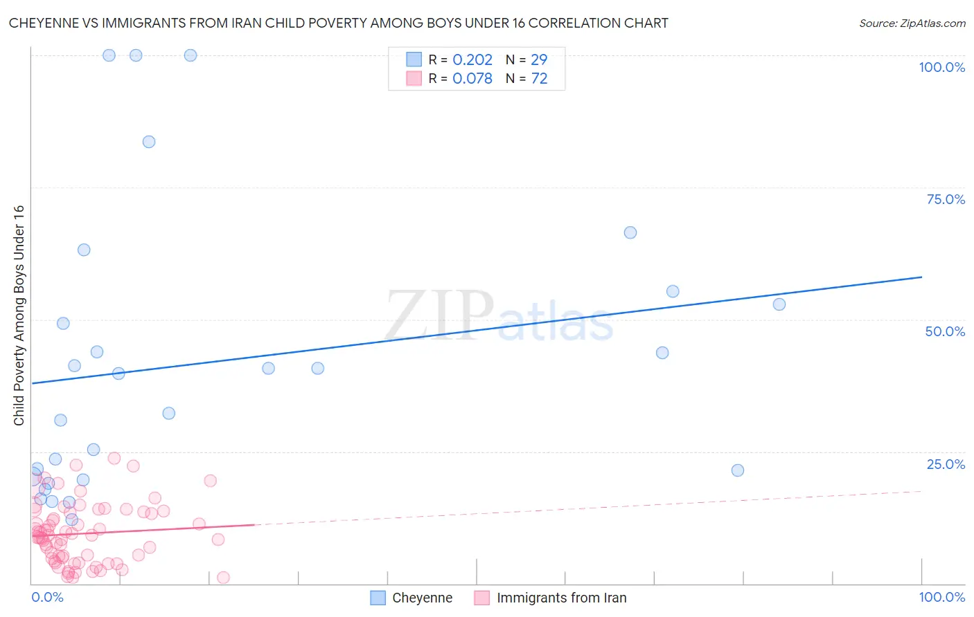 Cheyenne vs Immigrants from Iran Child Poverty Among Boys Under 16