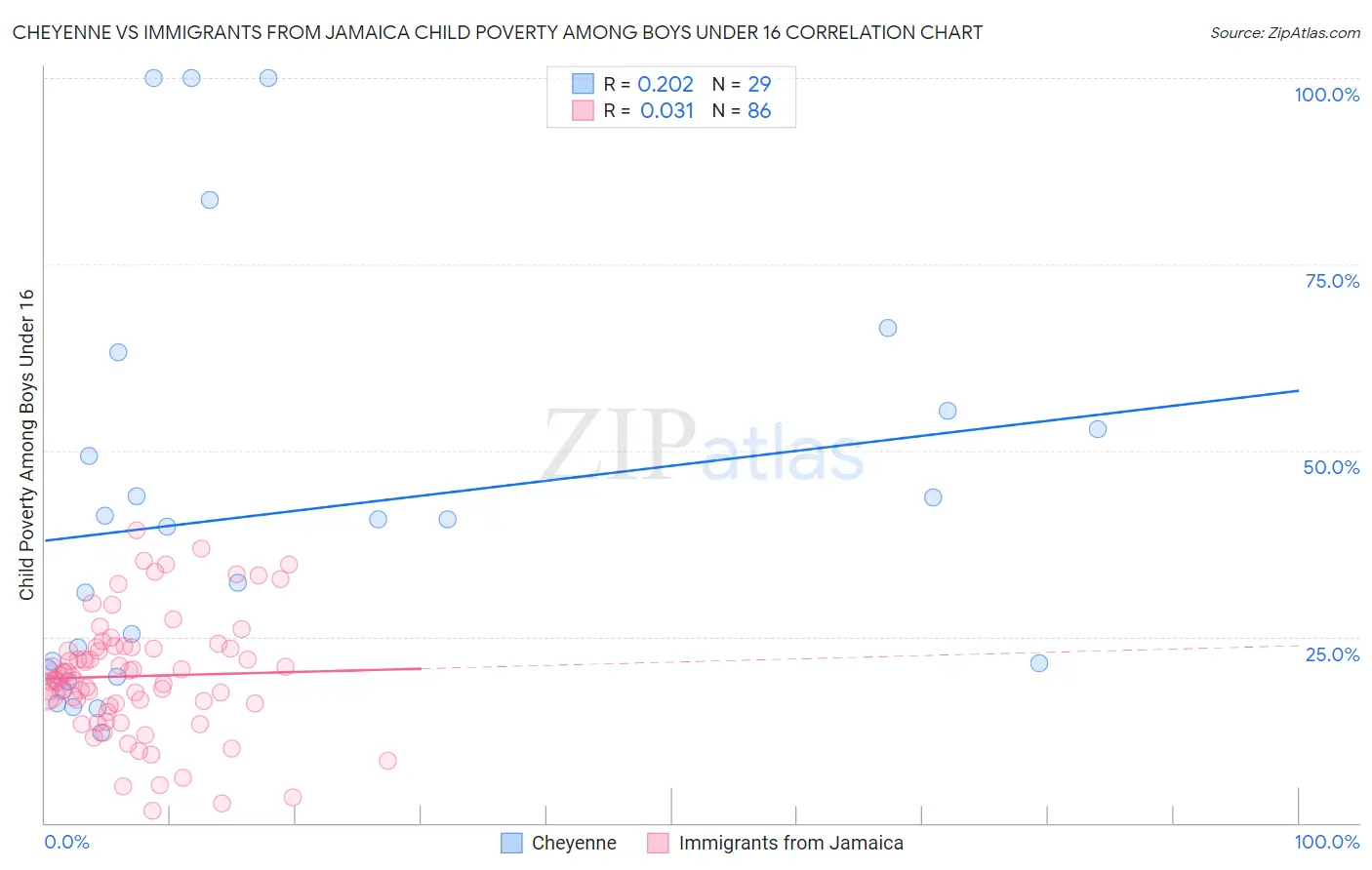 Cheyenne vs Immigrants from Jamaica Child Poverty Among Boys Under 16