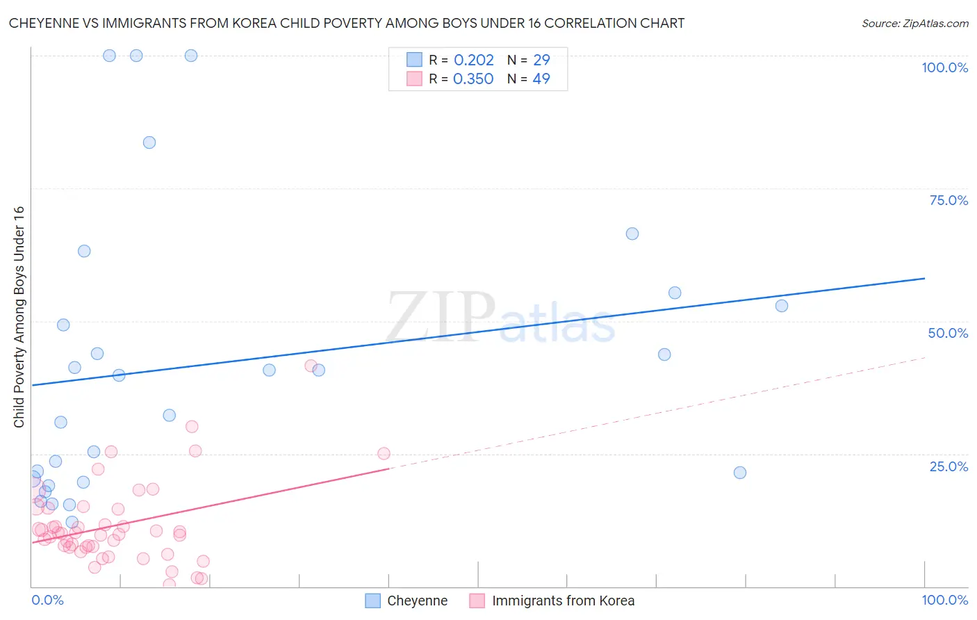 Cheyenne vs Immigrants from Korea Child Poverty Among Boys Under 16