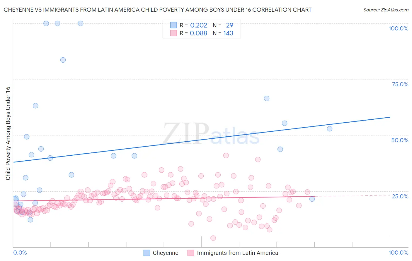 Cheyenne vs Immigrants from Latin America Child Poverty Among Boys Under 16