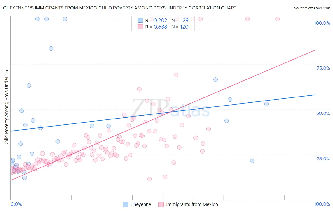 Cheyenne vs Immigrants from Mexico Child Poverty Among Boys Under 16