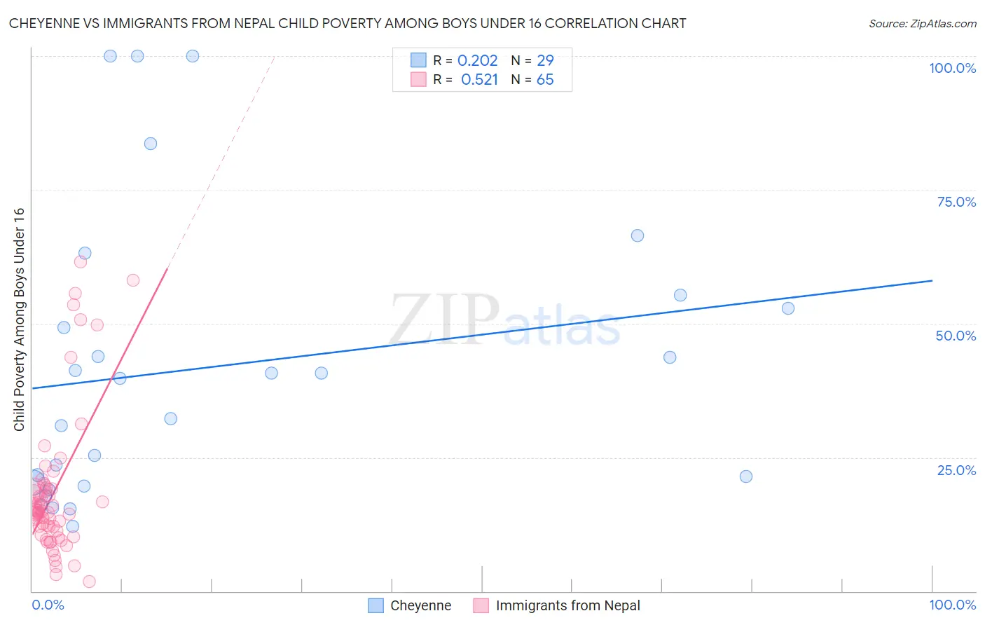 Cheyenne vs Immigrants from Nepal Child Poverty Among Boys Under 16