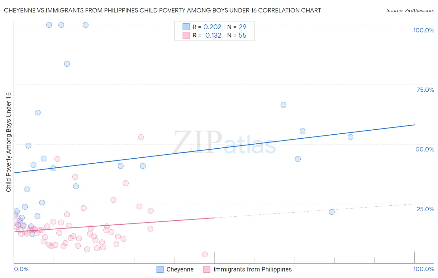 Cheyenne vs Immigrants from Philippines Child Poverty Among Boys Under 16