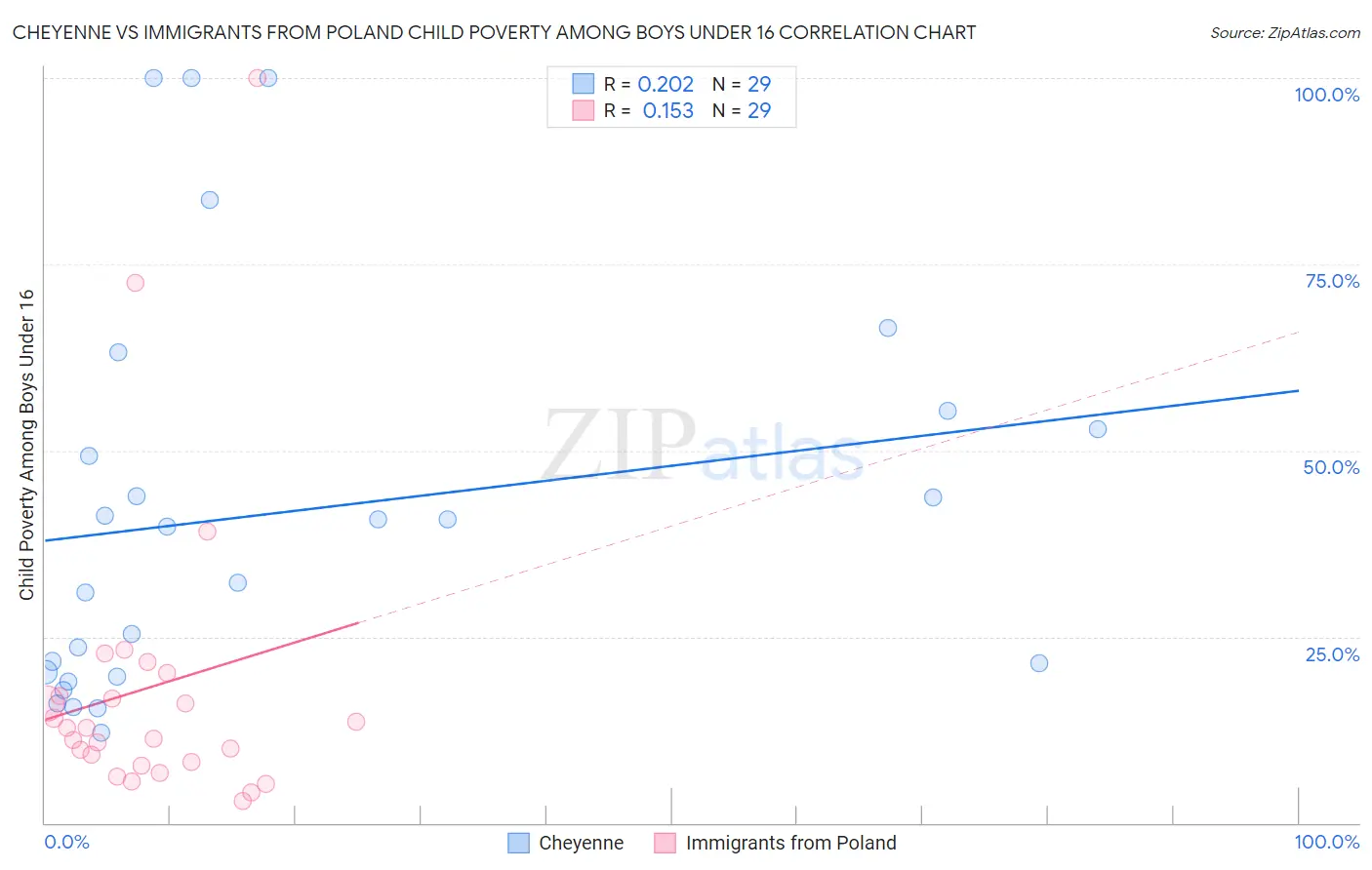 Cheyenne vs Immigrants from Poland Child Poverty Among Boys Under 16