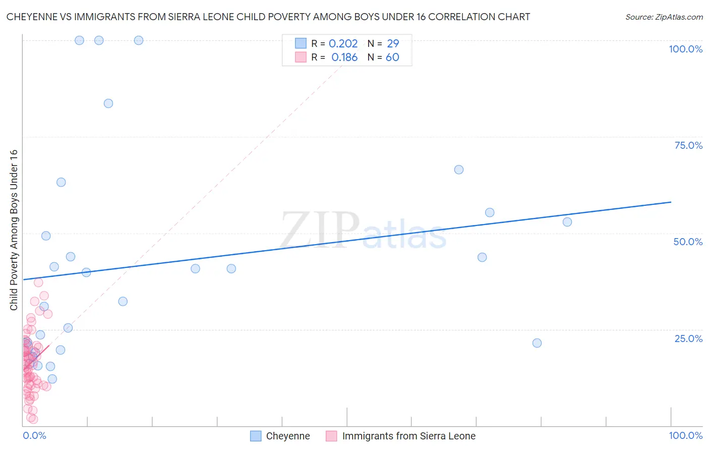 Cheyenne vs Immigrants from Sierra Leone Child Poverty Among Boys Under 16