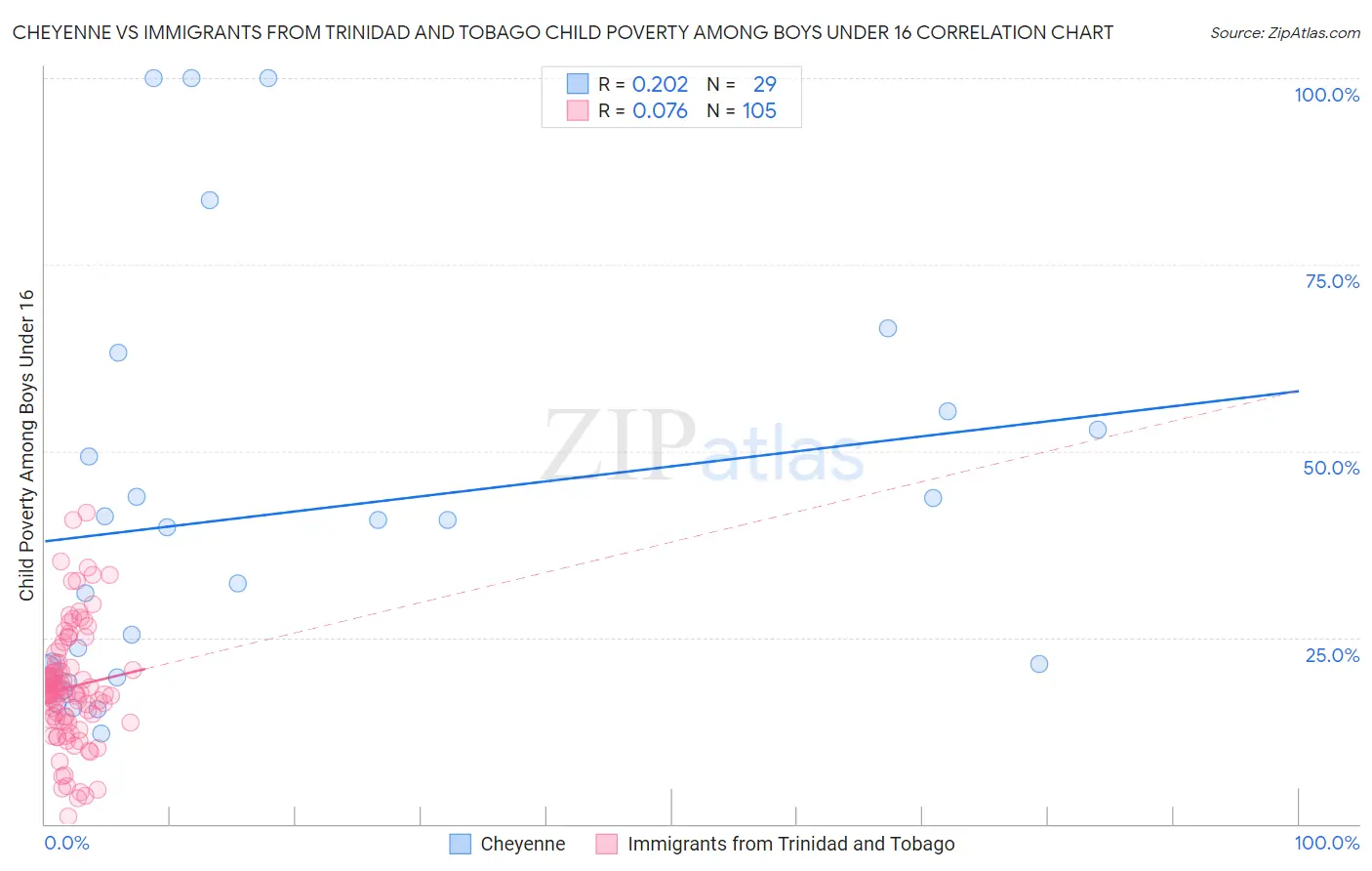 Cheyenne vs Immigrants from Trinidad and Tobago Child Poverty Among Boys Under 16