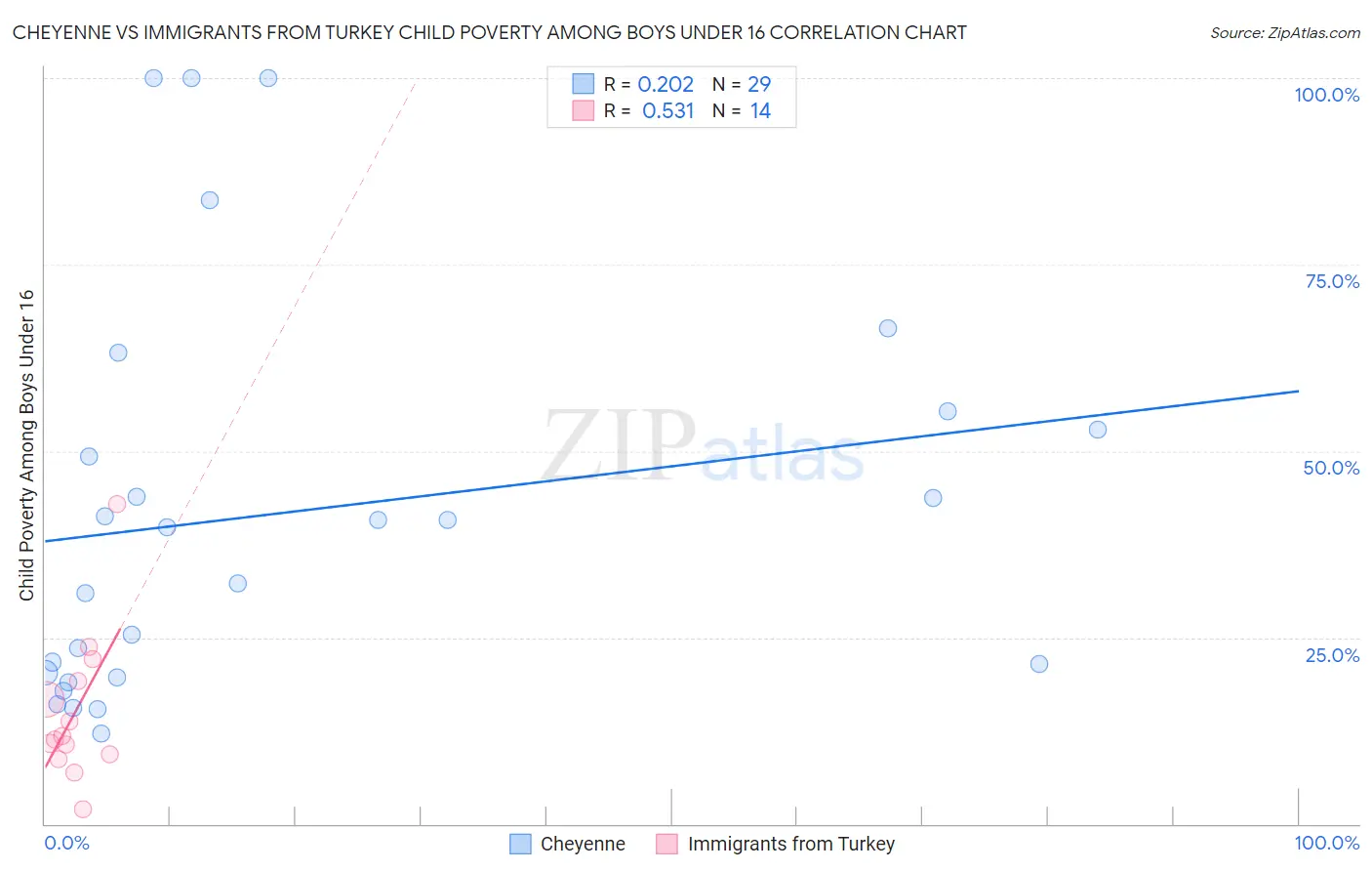 Cheyenne vs Immigrants from Turkey Child Poverty Among Boys Under 16