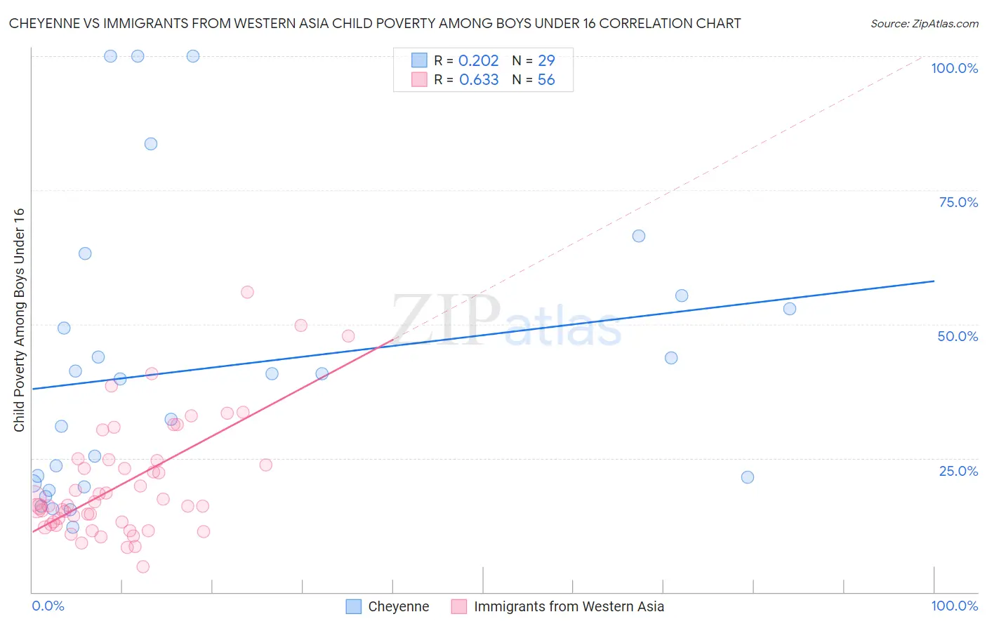 Cheyenne vs Immigrants from Western Asia Child Poverty Among Boys Under 16