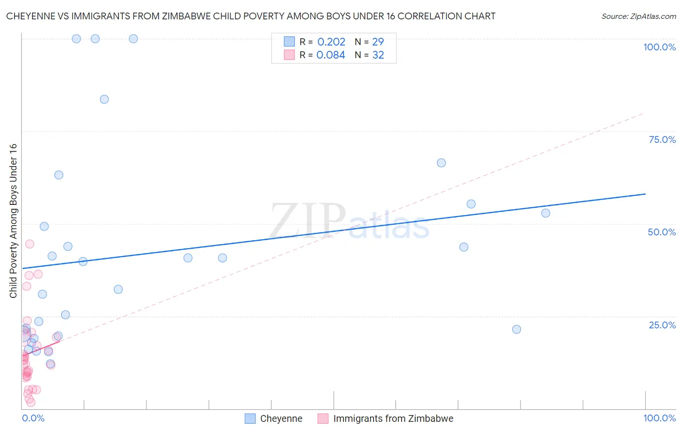 Cheyenne vs Immigrants from Zimbabwe Child Poverty Among Boys Under 16