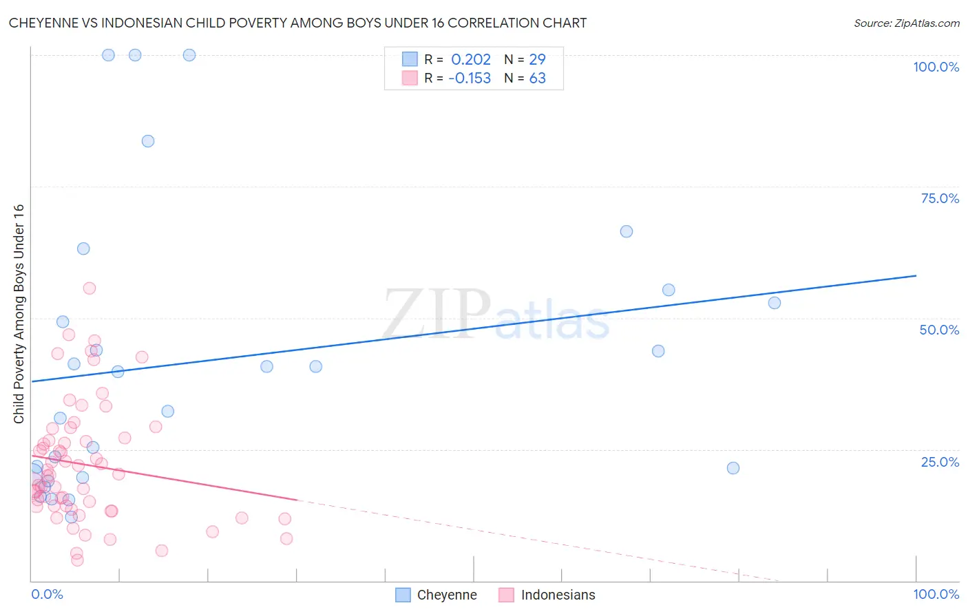 Cheyenne vs Indonesian Child Poverty Among Boys Under 16