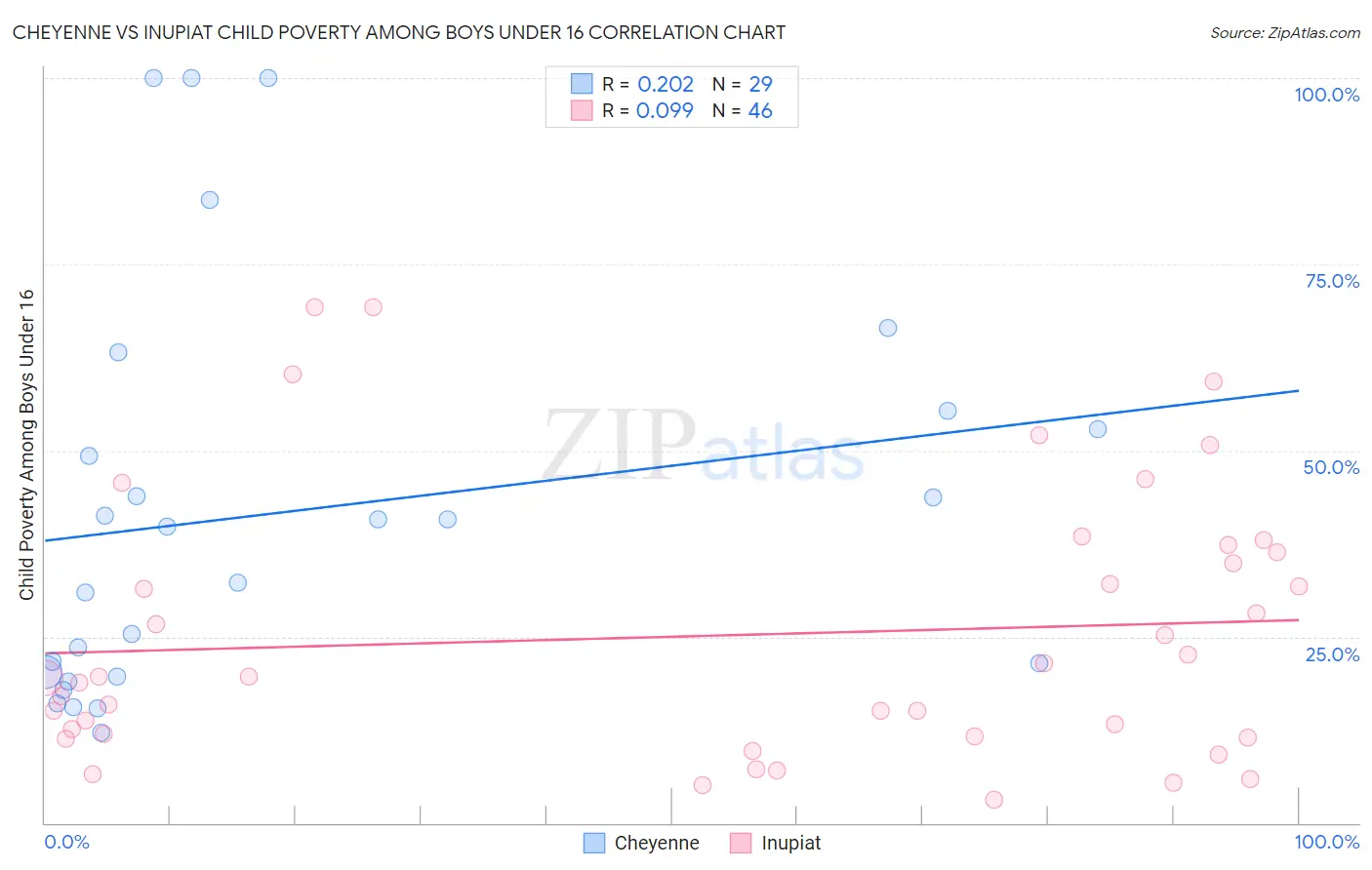 Cheyenne vs Inupiat Child Poverty Among Boys Under 16