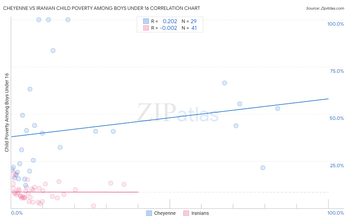 Cheyenne vs Iranian Child Poverty Among Boys Under 16