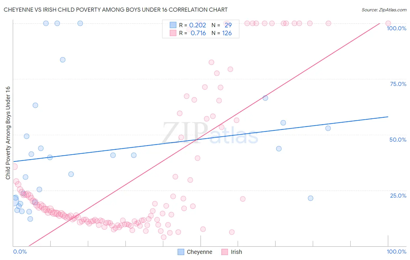 Cheyenne vs Irish Child Poverty Among Boys Under 16