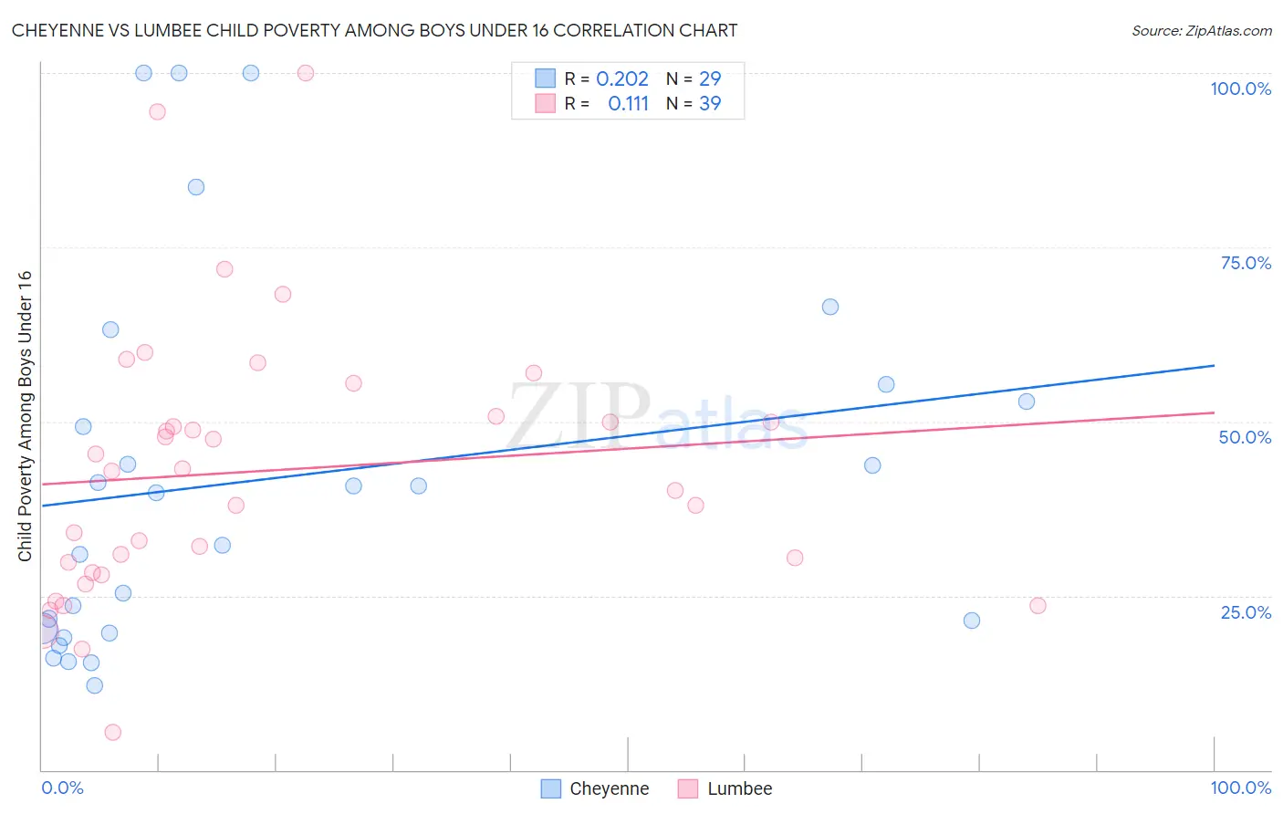 Cheyenne vs Lumbee Child Poverty Among Boys Under 16