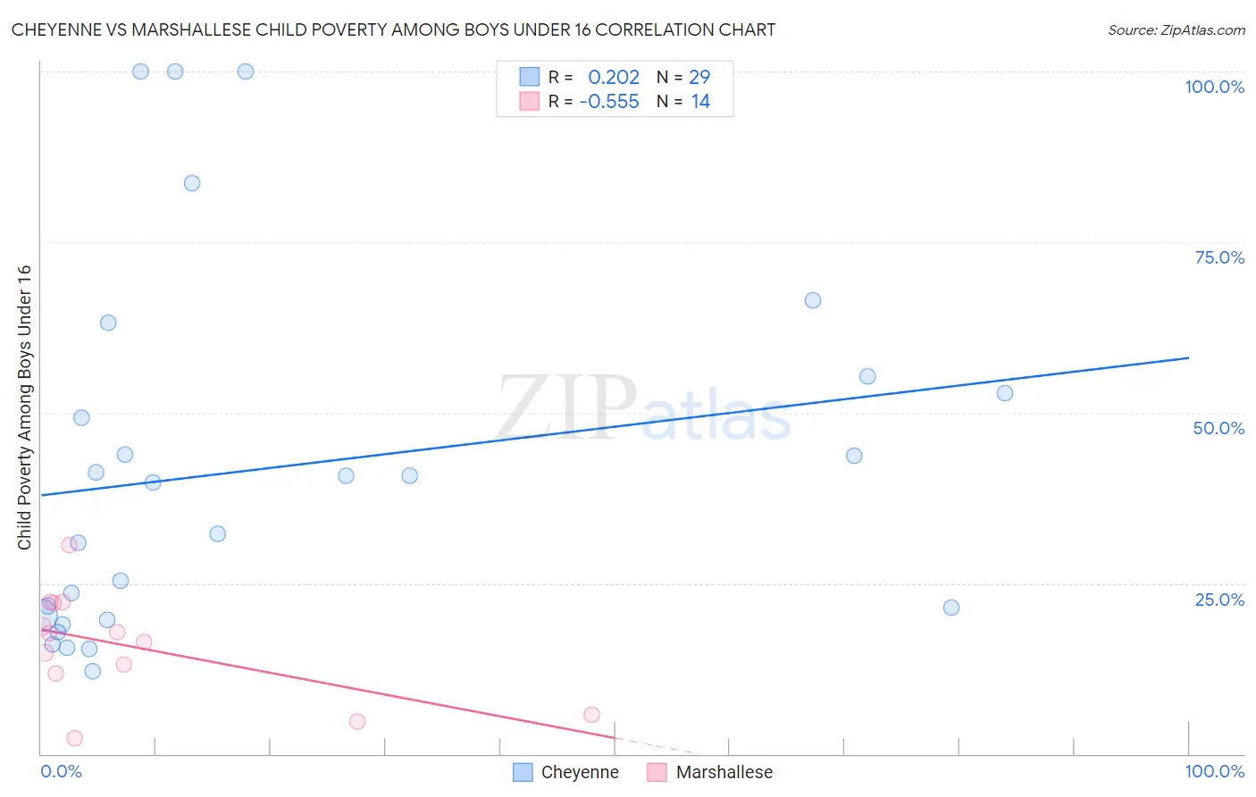 Cheyenne vs Marshallese Child Poverty Among Boys Under 16