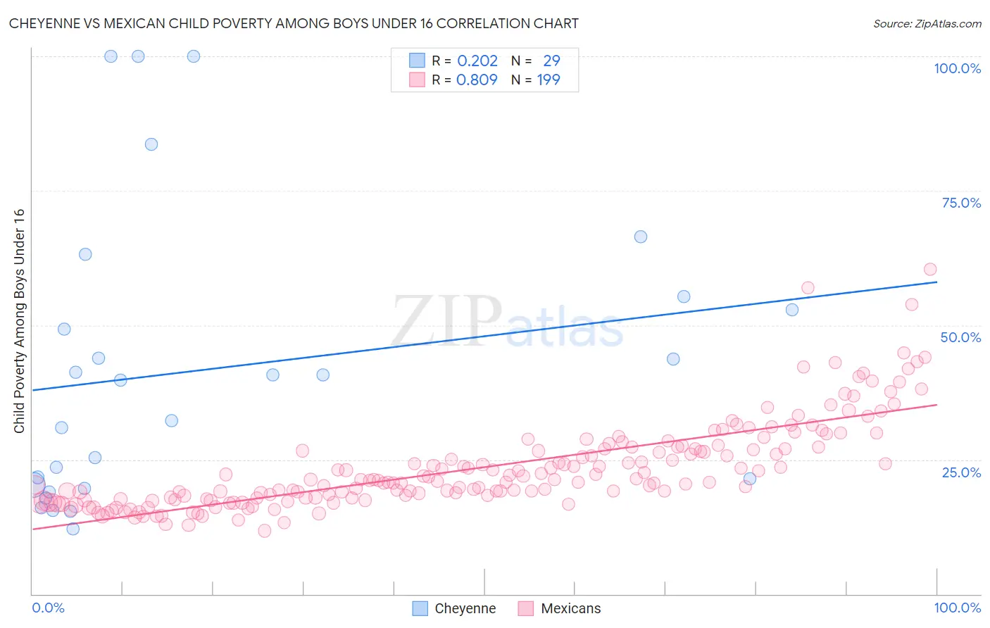 Cheyenne vs Mexican Child Poverty Among Boys Under 16