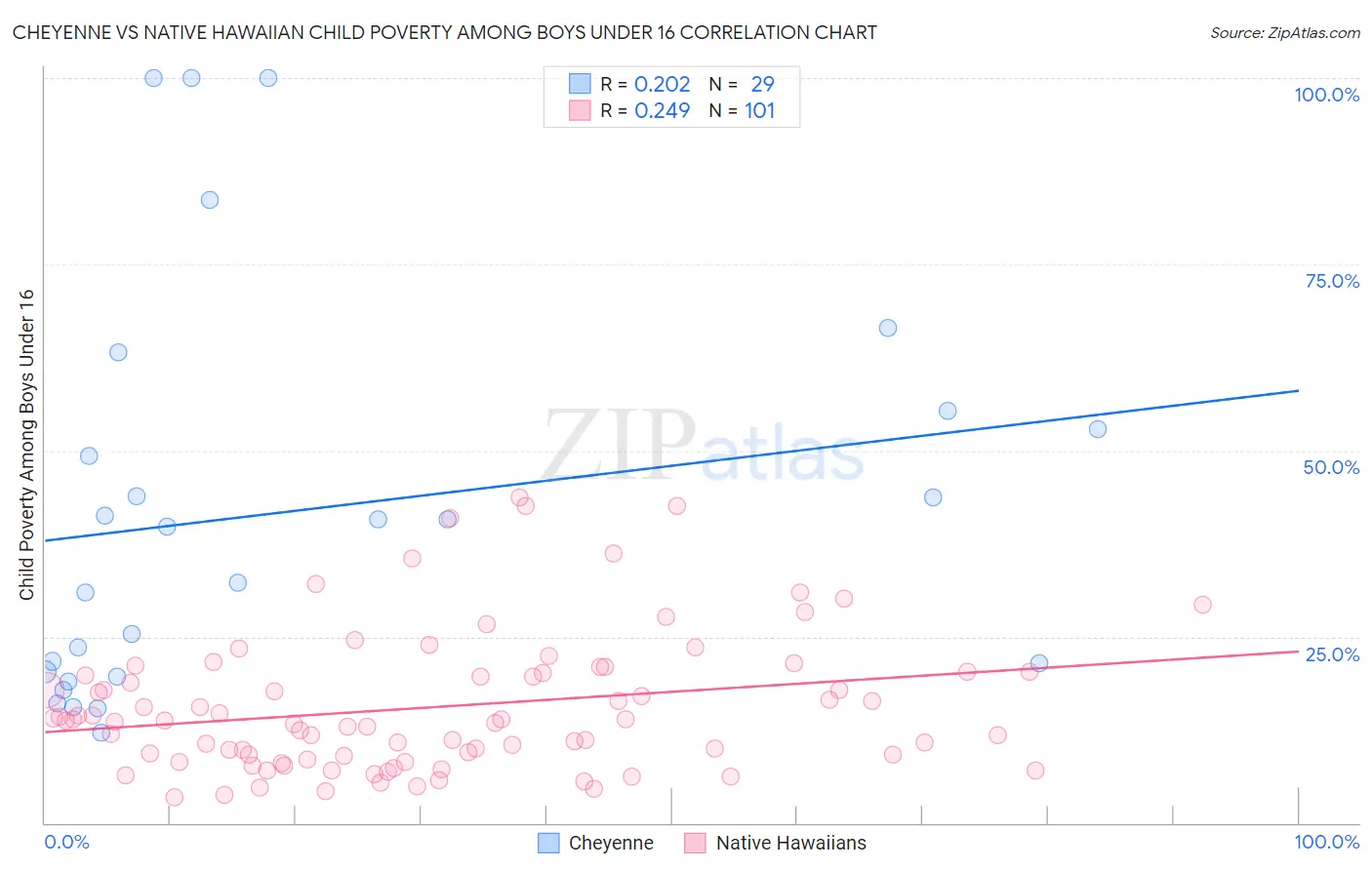 Cheyenne vs Native Hawaiian Child Poverty Among Boys Under 16