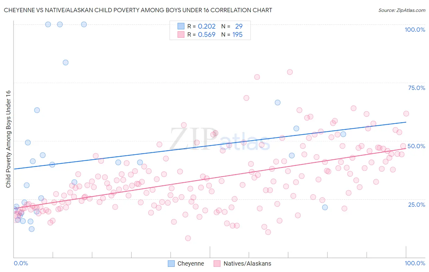 Cheyenne vs Native/Alaskan Child Poverty Among Boys Under 16