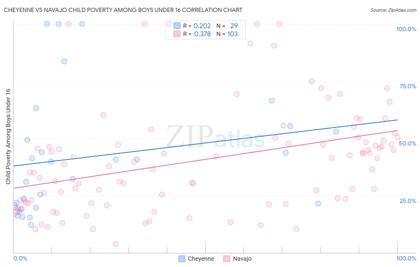 Cheyenne vs Navajo Child Poverty Among Boys Under 16