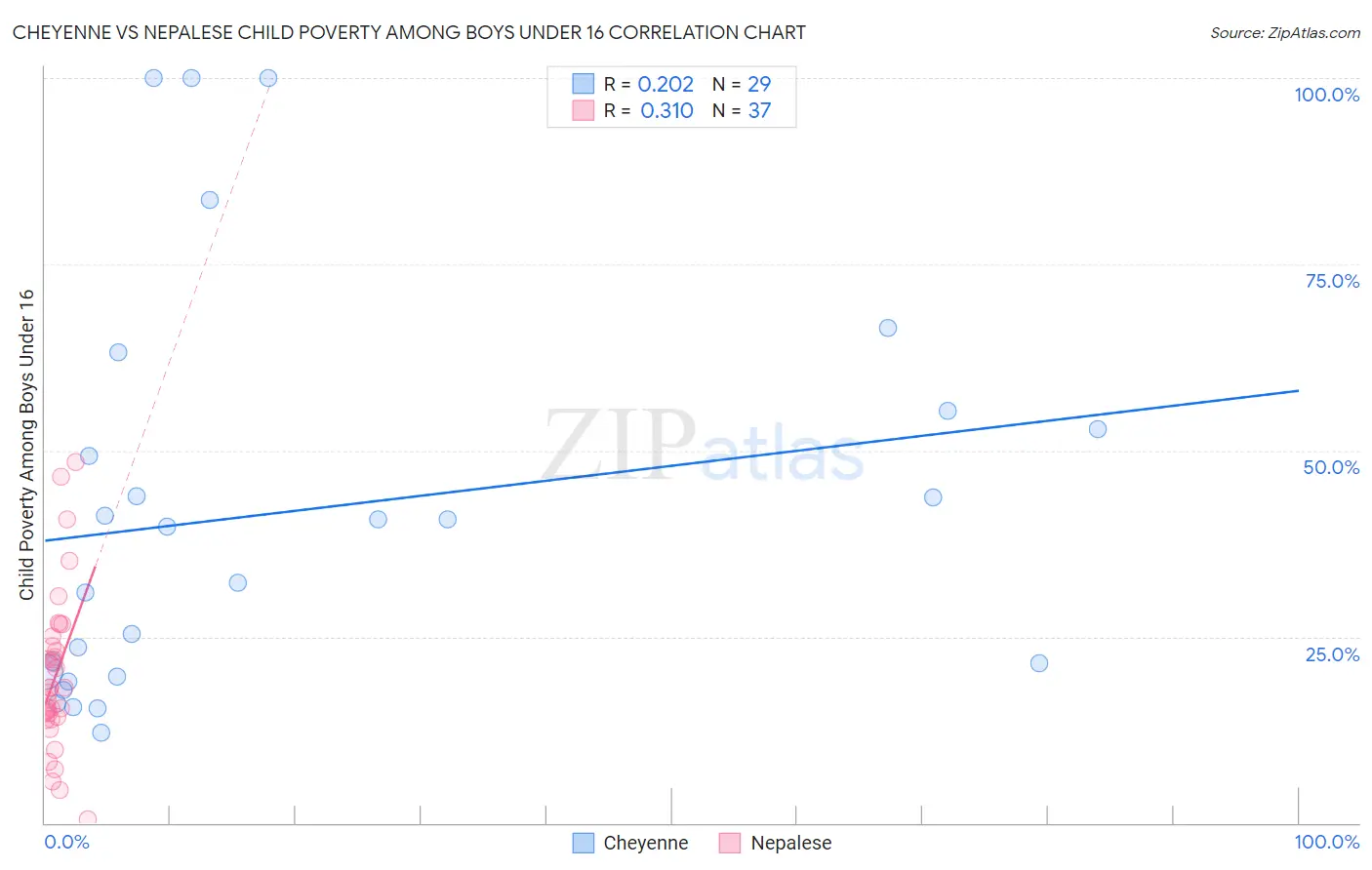 Cheyenne vs Nepalese Child Poverty Among Boys Under 16