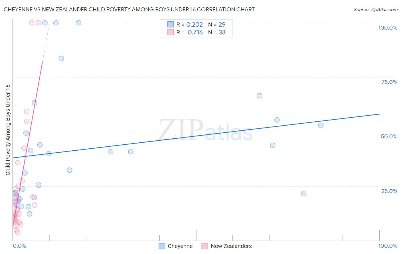 Cheyenne vs New Zealander Child Poverty Among Boys Under 16