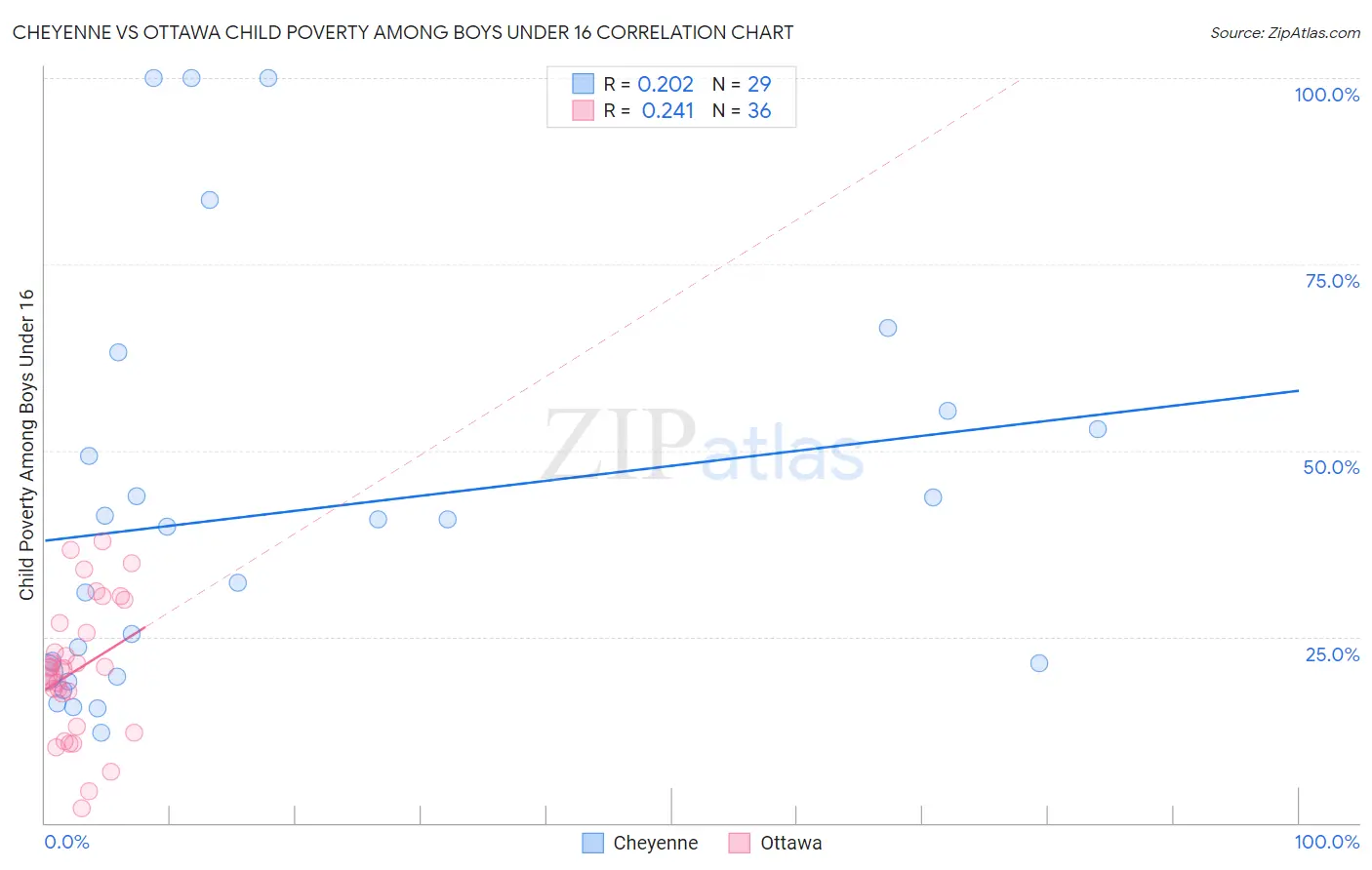 Cheyenne vs Ottawa Child Poverty Among Boys Under 16