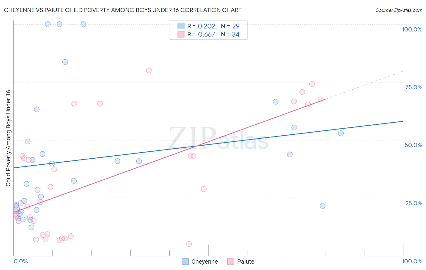 Cheyenne vs Paiute Child Poverty Among Boys Under 16