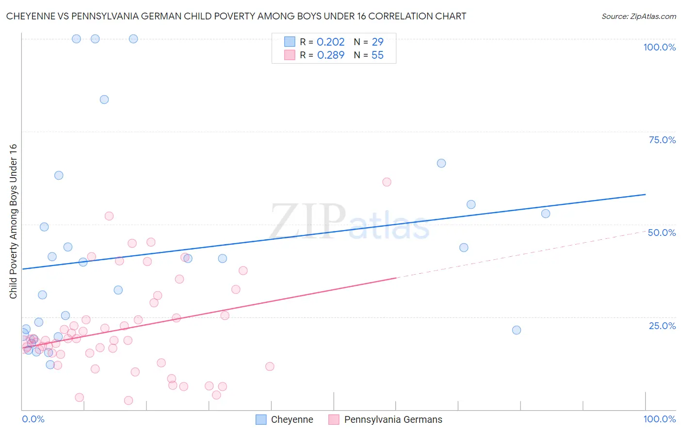 Cheyenne vs Pennsylvania German Child Poverty Among Boys Under 16