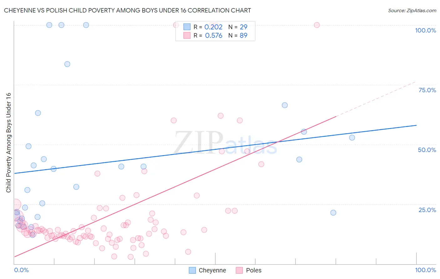 Cheyenne vs Polish Child Poverty Among Boys Under 16