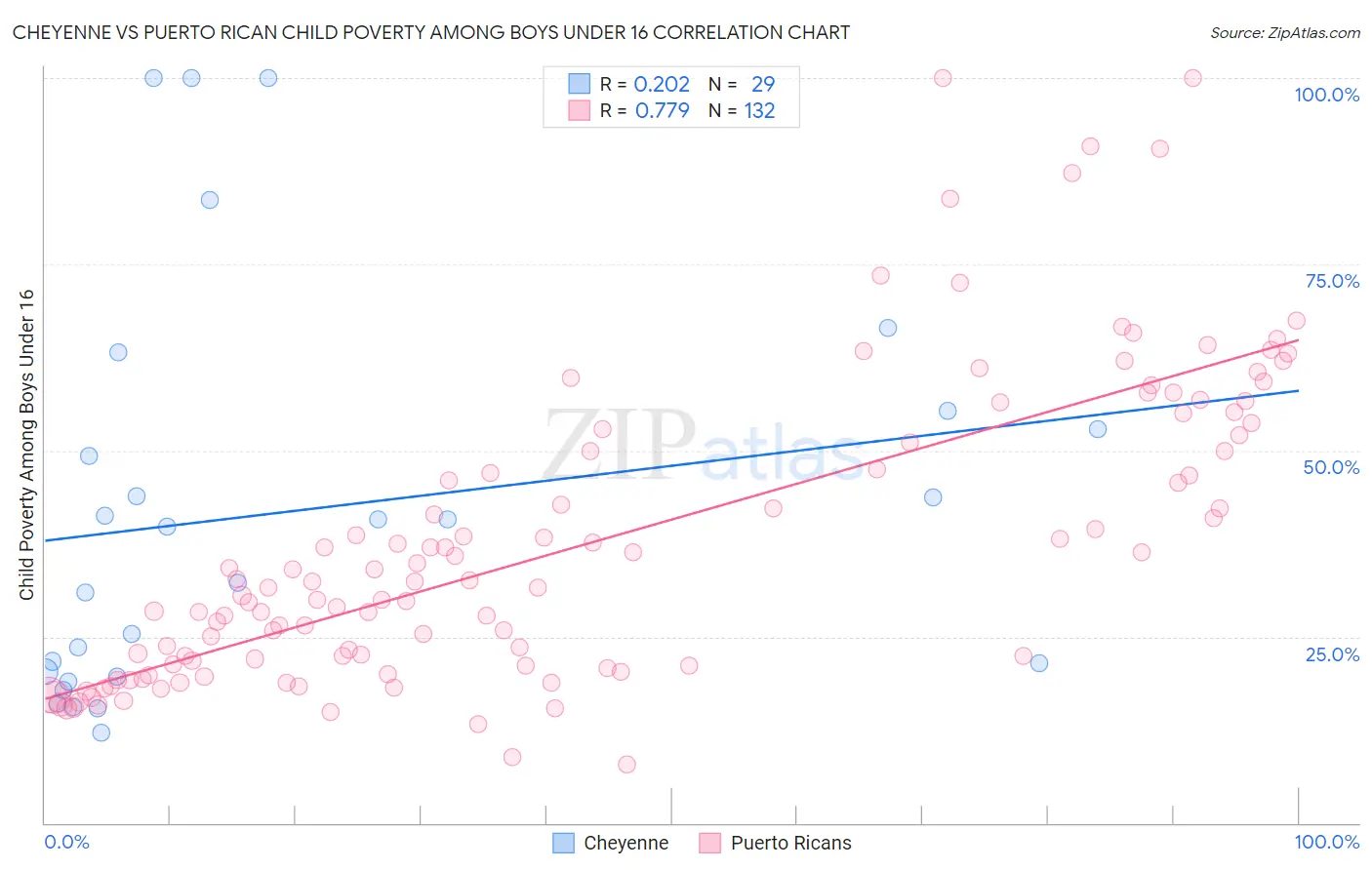 Cheyenne vs Puerto Rican Child Poverty Among Boys Under 16