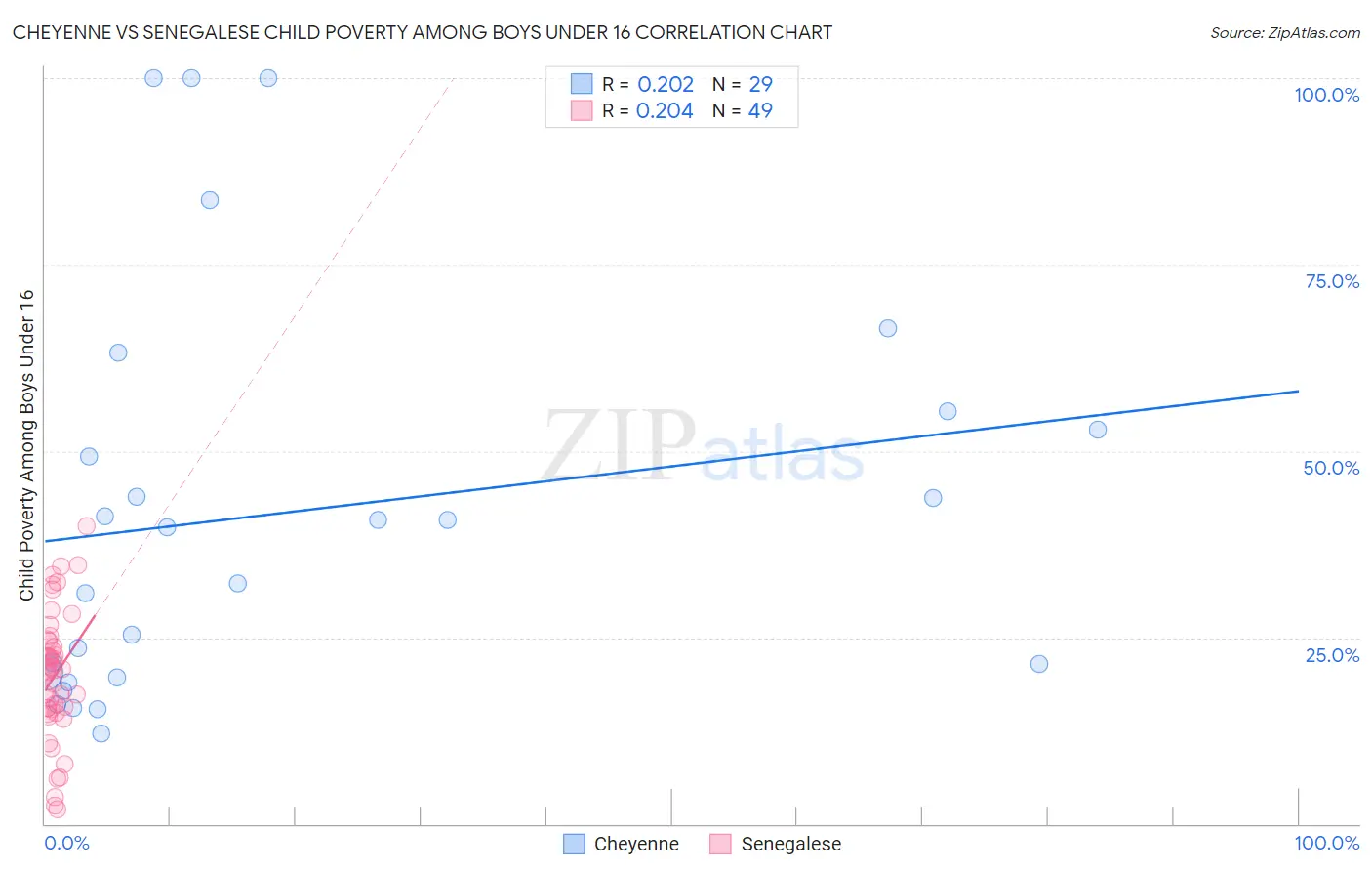 Cheyenne vs Senegalese Child Poverty Among Boys Under 16