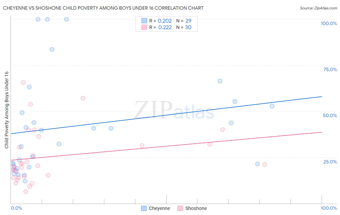 Cheyenne vs Shoshone Child Poverty Among Boys Under 16