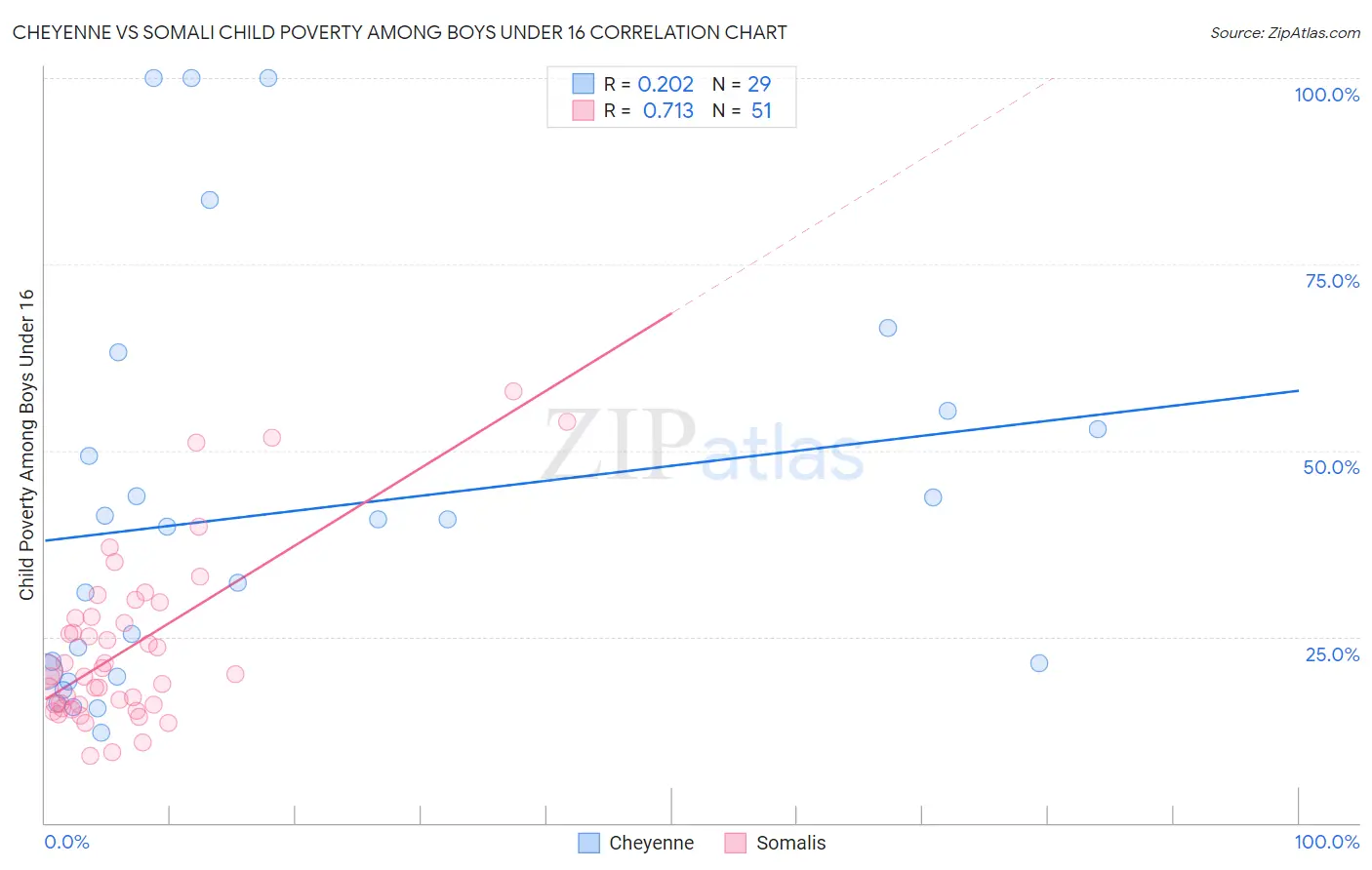 Cheyenne vs Somali Child Poverty Among Boys Under 16