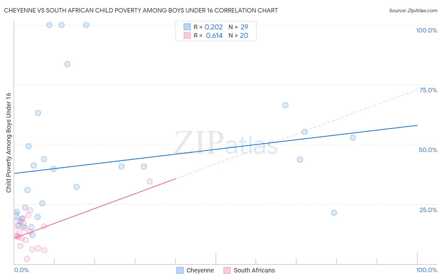 Cheyenne vs South African Child Poverty Among Boys Under 16